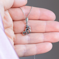 Necklace stethoscope - silver p. 925