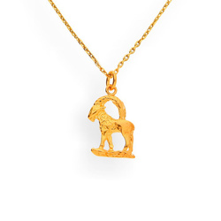 Srebrny naszyjnik ZNAK ZODIAKU KOZIOROŻEC - p 925
