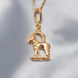 Srebrny naszyjnik ZNAK ZODIAKU KOZIOROŻEC - p 925