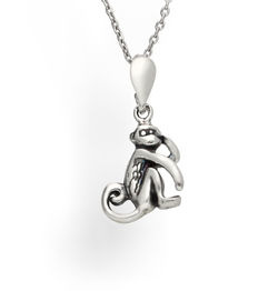 Necklace stethoscope - silver p. 925