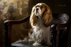 SZTZ-734 Kolczyki sztyfty 9mm KOŚĆ PIES SREBRO