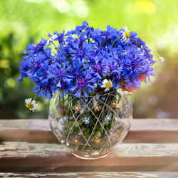 Srebrny naszyjnik CHABRY - SREBRO p 925 CUDO! NEW!