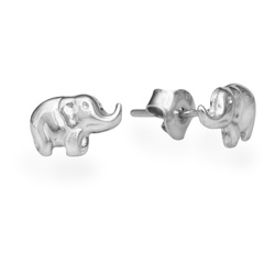 SZT-745 Silver earrings KINGFISHER - Sterling Silver 925